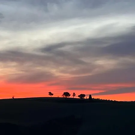 Casa Bozzo, 'mima' *