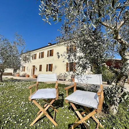 Casa Bozzo, 'mima' Daire