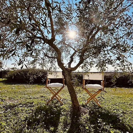 Casa Bozzo, 'mima' Case Selva Grande