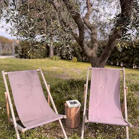 Casa Bozzo, 'mima' Daire