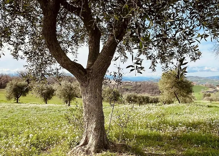 Casa Bozzo, 'mima' *