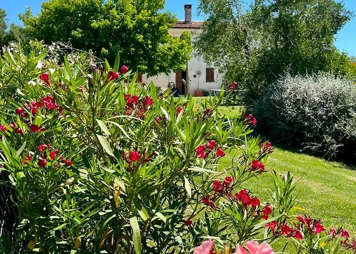 Casa Bozzo, 'mima' Apartment
